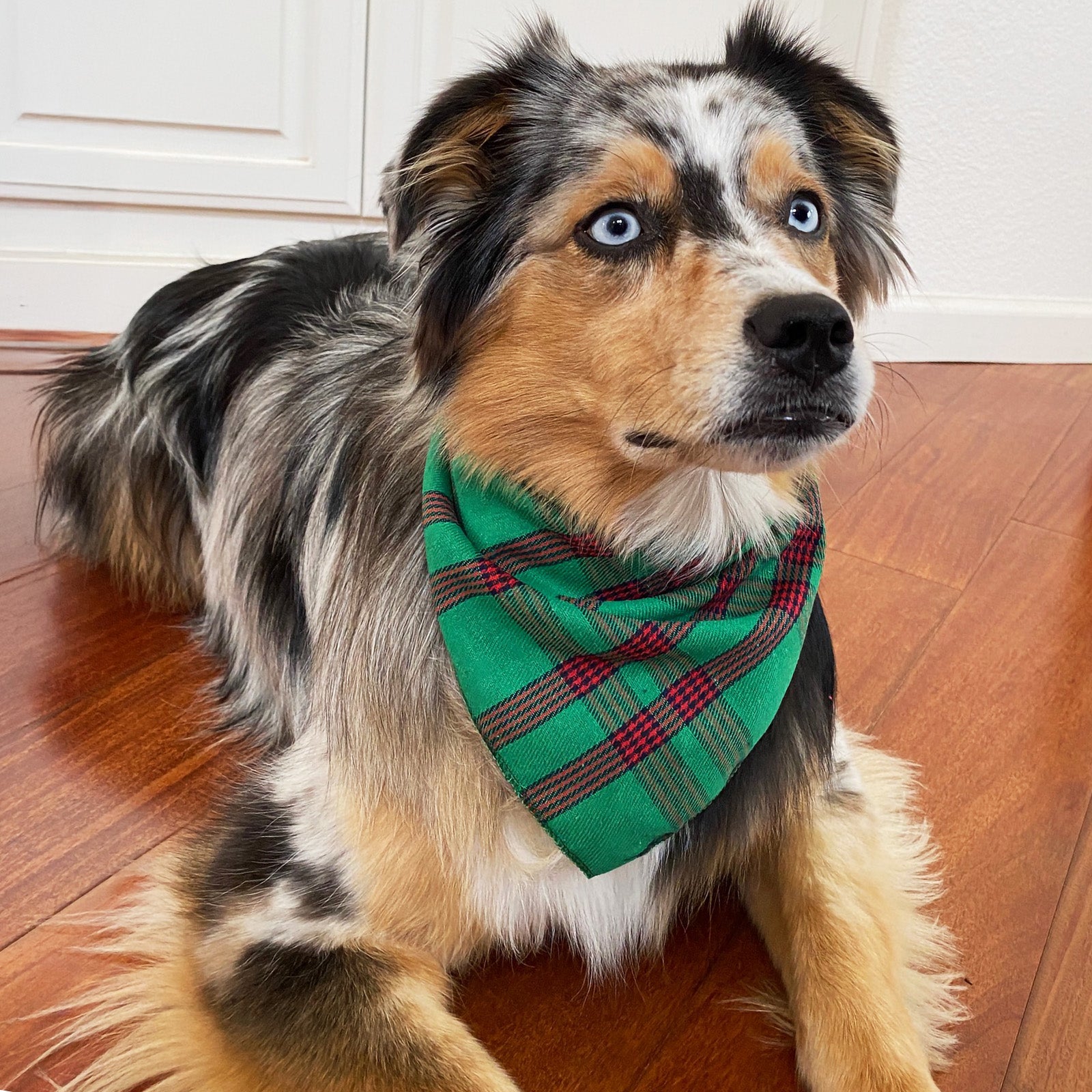 Wrapables Christmas Pet Triangle Bandana Scarves 2pcs, Small, Classic Plaid