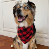 Wrapables Christmas Pet Triangle Bandana Scarves 2pcs, Large, Buffalo Plaid