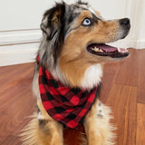 Wrapables Christmas Pet Triangle Bandana Scarves 2pcs, Large, Buffalo Plaid