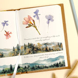 Wrapables Aesthetic Scenic Landscapes PET Washi Tapes for Scrapbooking, Stationery, Journaling, Diary, Card Making (Set of 2)