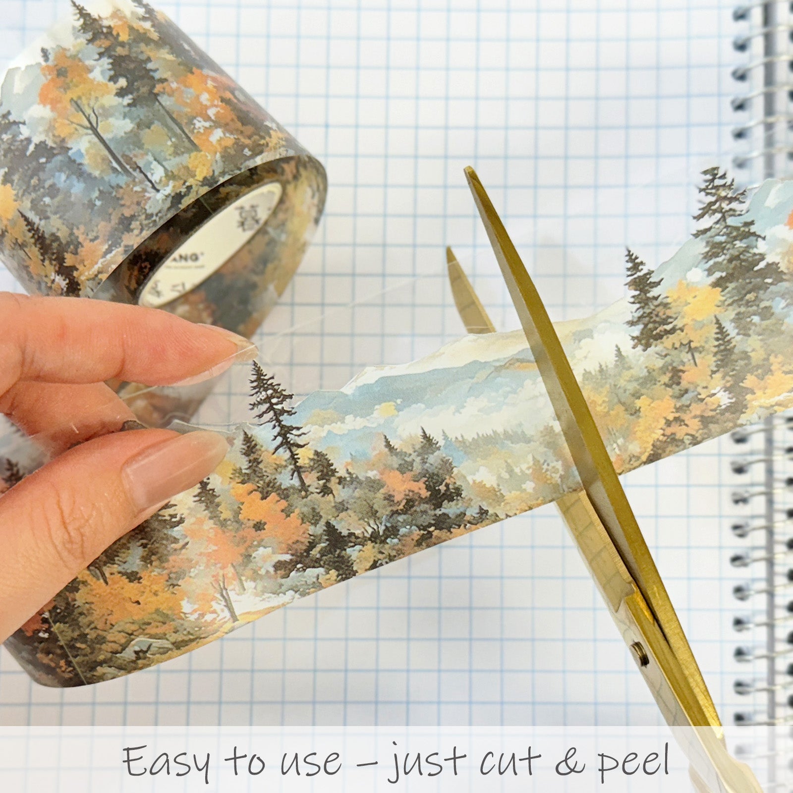 Wrapables Aesthetic Scenic Landscapes PET Washi Tapes for Scrapbooking, Stationery, Journaling, Diary, Card Making (Set of 2)