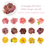 Wrapables PET Floral Stickers with Holographic Outlines for Scrapbooking, Journaling, Water Bottles, Phones, Laptops (Set of 3)