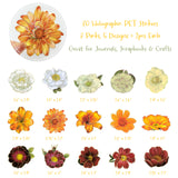 Wrapables PET Floral Stickers with Holographic Outlines for Scrapbooking, Journaling, Water Bottles, Phones, Laptops (Set of 3)