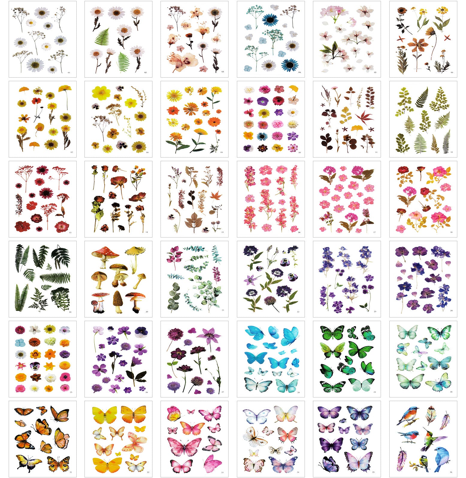 Wrapables Pressed Flower Themed PET Stickers for Scrapbooking, Journals, Stationery, DIY, Crafts, Water Bottles, Phones, Laptops (480pcs), 36 Sheets
