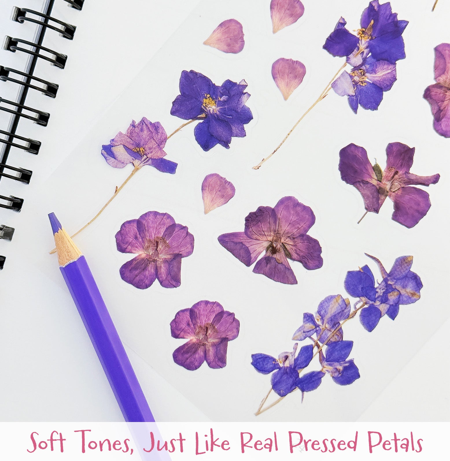 Wrapables Pressed Flower Themed PET Stickers for Scrapbooking, Journals, Stationery, DIY, Crafts, Water Bottles, Phones, Laptops (480pcs), 36 Sheets