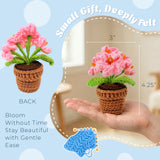 Wrapables Crochet Artificial Flowers, Knitted Potted Plants For Home and Office Decoration, Mother's Day Gift, Forget Me Not Pink