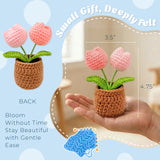 Wrapables Crochet Artificial Flowers, Knitted Potted Plants For Home and Office Decoration, Mother's Day Gift, Tulips