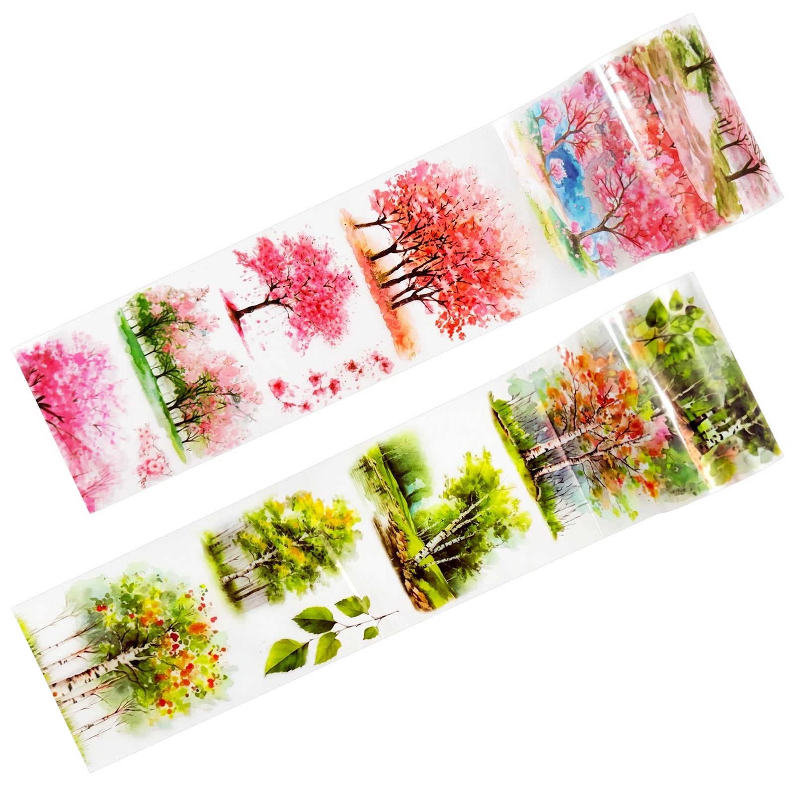 Tree and Forest Nature Landscape PET Washi Tapes for Scrapbooking, Stationery, Journaling, Diary, Card Making (Set of 2), Birch Sakura