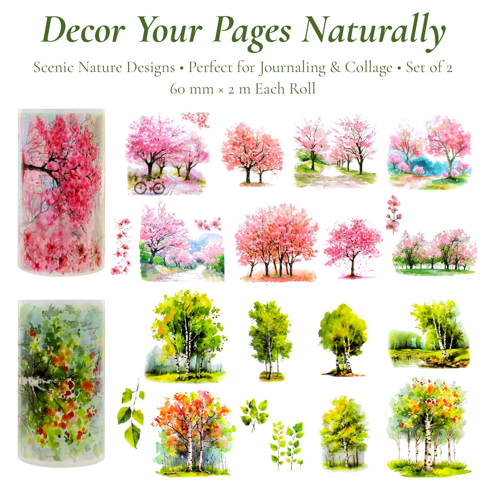 Tree and Forest Nature Landscape PET Washi Tapes for Scrapbooking, Stationery, Journaling, Diary, Card Making (Set of 2), Birch Sakura