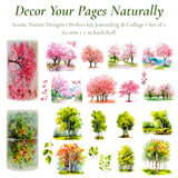 Tree and Forest Nature Landscape PET Washi Tapes for Scrapbooking, Stationery, Journaling, Diary, Card Making (Set of 2), Birch Sakura