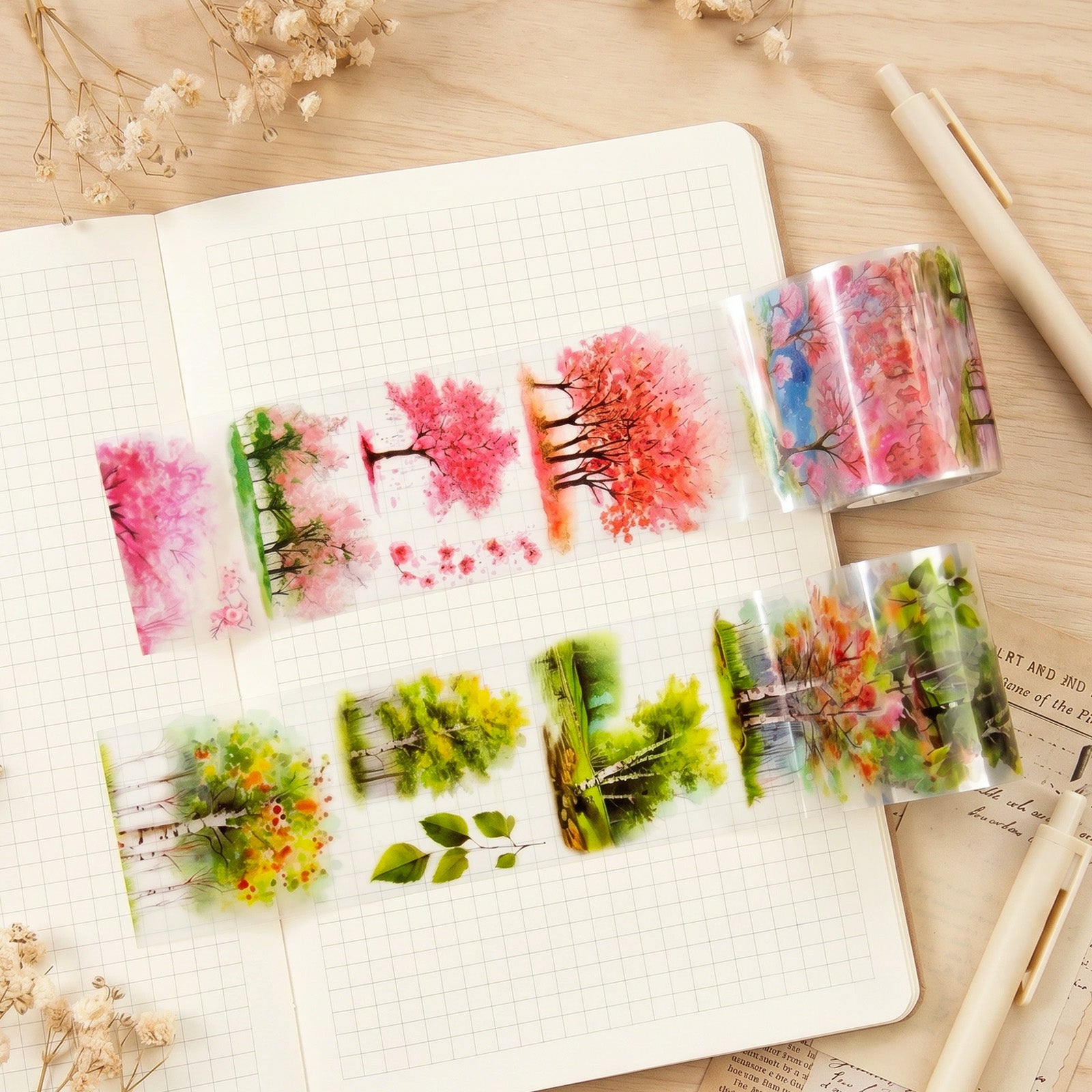 Tree and Forest Nature Landscape PET Washi Tapes for Scrapbooking, Stationery, Journaling, Diary, Card Making (Set of 2), Birch Sakura