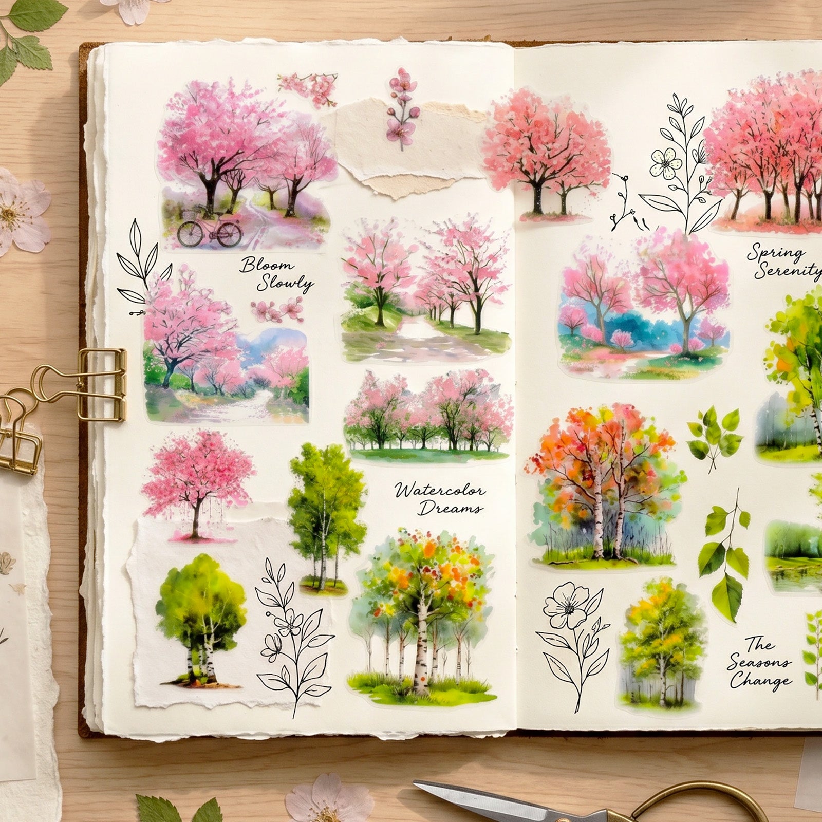 Tree and Forest Nature Landscape PET Washi Tapes for Scrapbooking, Stationery, Journaling, Diary, Card Making (Set of 2), Birch Sakura