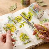 Tree and Forest Nature Landscape PET Washi Tapes for Scrapbooking, Stationery, Journaling, Diary, Card Making (Set of 2), Birch Sakura