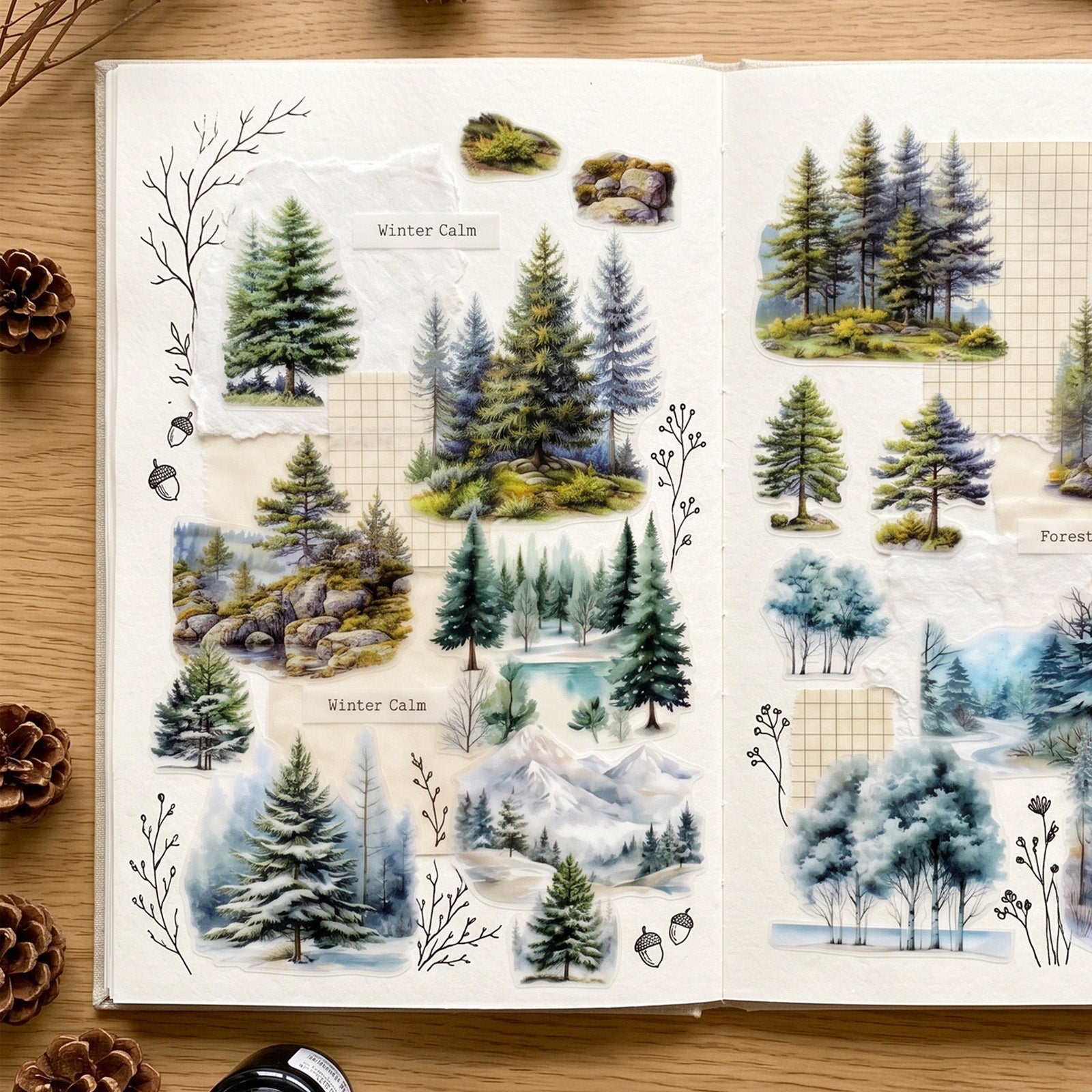 Wrapables Tree and Forest Nature Landscape PET Washi Tapes for Scrapbooking, Stationery, Journaling, Diary, Card Making (Set of 2), Evergreen Cedar