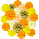 Wrapables Fall Pom Pom Party Decorations for Autumn, Harvest, Thanksgiving, Weddings, Birthdays, Baby Showers (Set of 22)