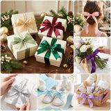 Wrapables Gift Wrapping, Wedding Decor, Floral Bouquets, DIY Crafts Satin Ribbon 1 Inch x 50 Yards (Set of 2), Spirits