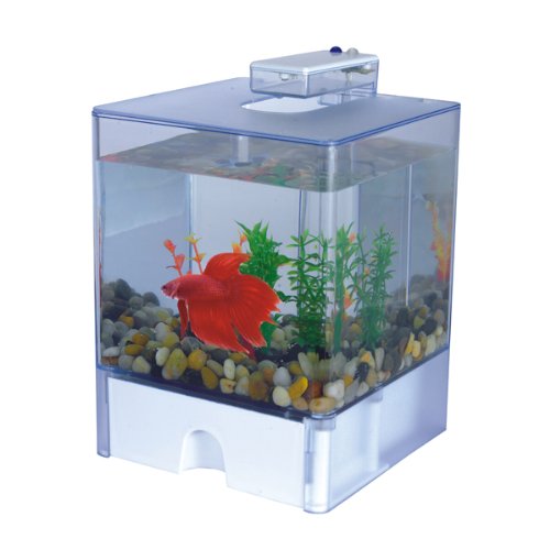 Aqua Cube Betta Aquarium - 0.8 Gallon