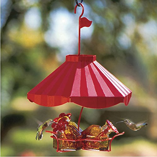 Carousel Hummingbird Feeder Gift Set