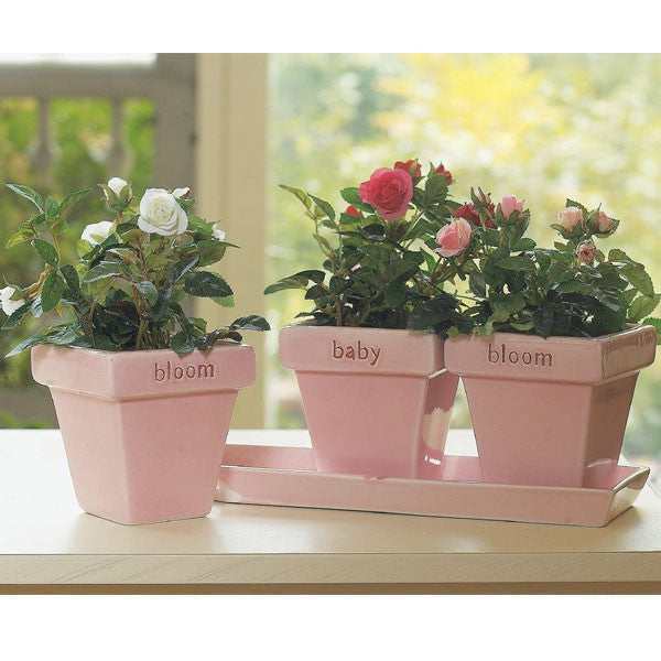 Inspirational Ceramic Planters with Tray - Bloom Baby Bloom