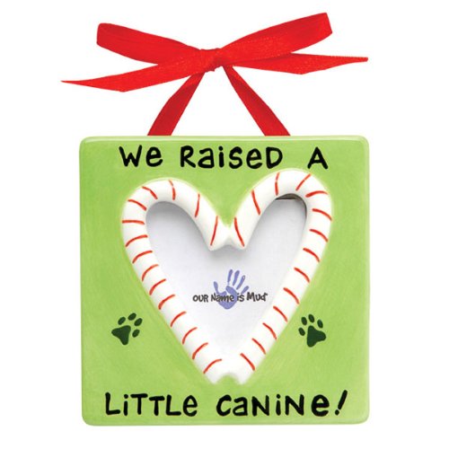 Pampered Pets Christmas Frame Ornament - Little Canine