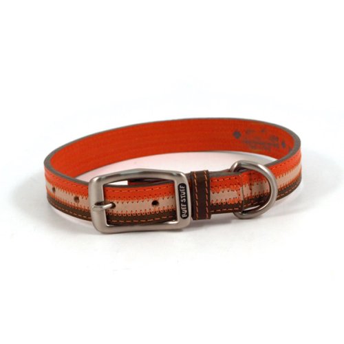 Sassy Orange Dog Collar