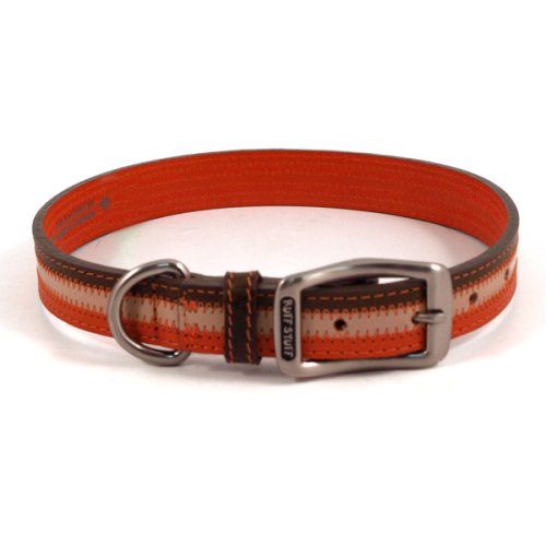 Sassy Orange Dog Collar