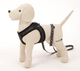 PetEgo Airness Mesh Harness/Leash