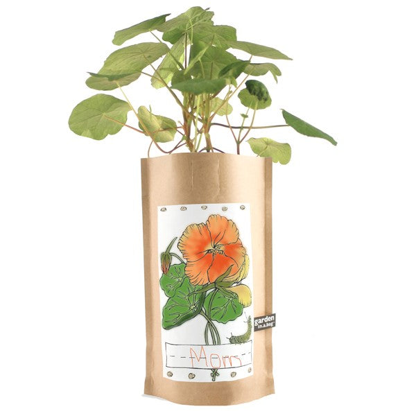 Personalized Garden in a Bag for Kids