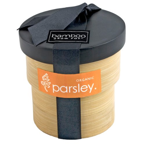 Bamboo Grow Pot - Parsley