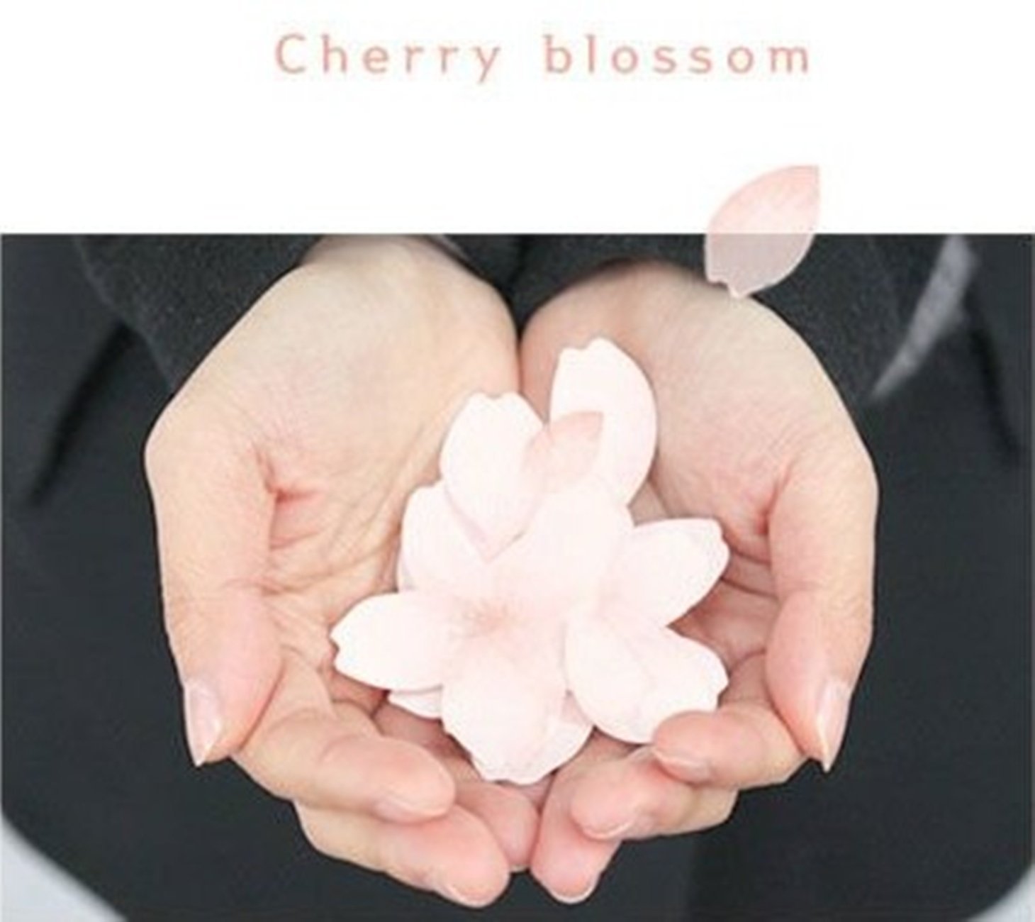 Cherry Blossom Sticky Notes