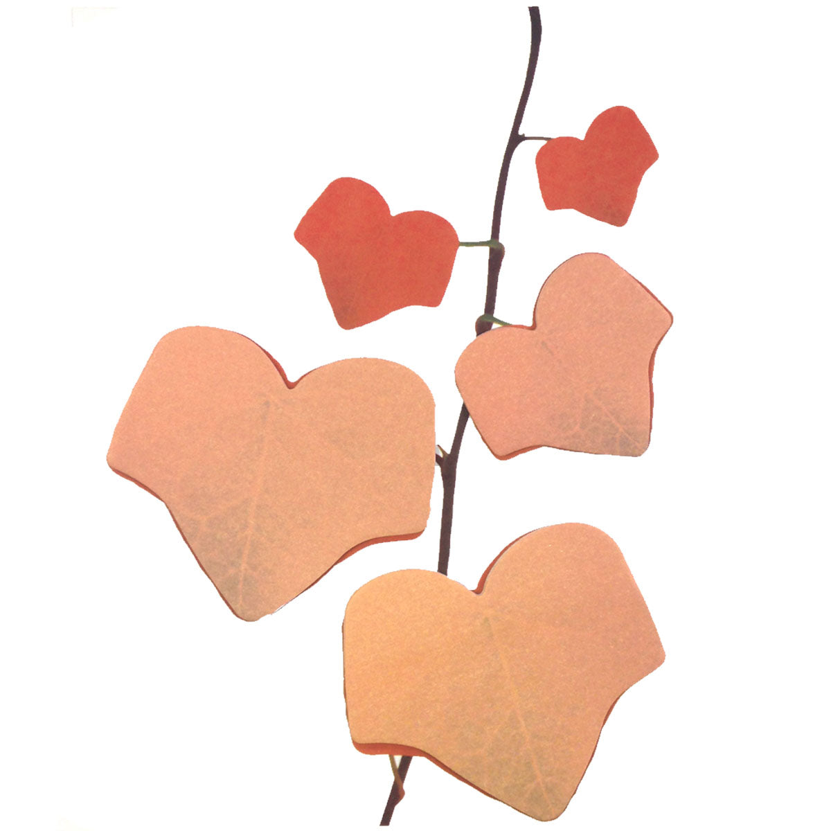 Wrapables Tree Leaf Sticky Notes