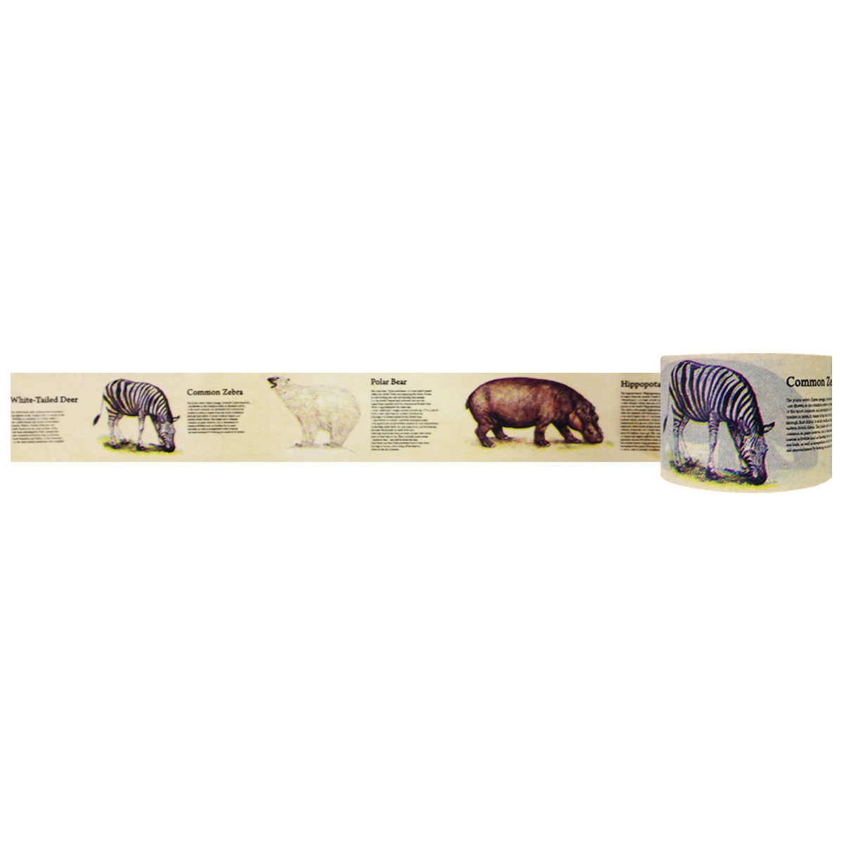 Wrapables Floral & Nature Washi Masking Tape, At the Zoo