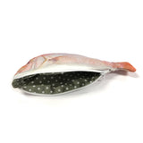 Wrapables Novelty Fish Style Pencil Case