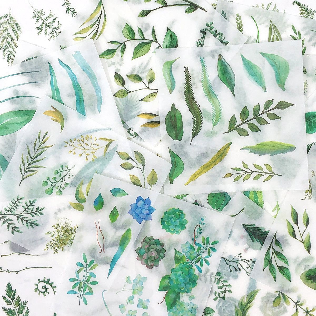Botanical Leaves Washi Tape, White Washi, Green Washi, Plant Washi