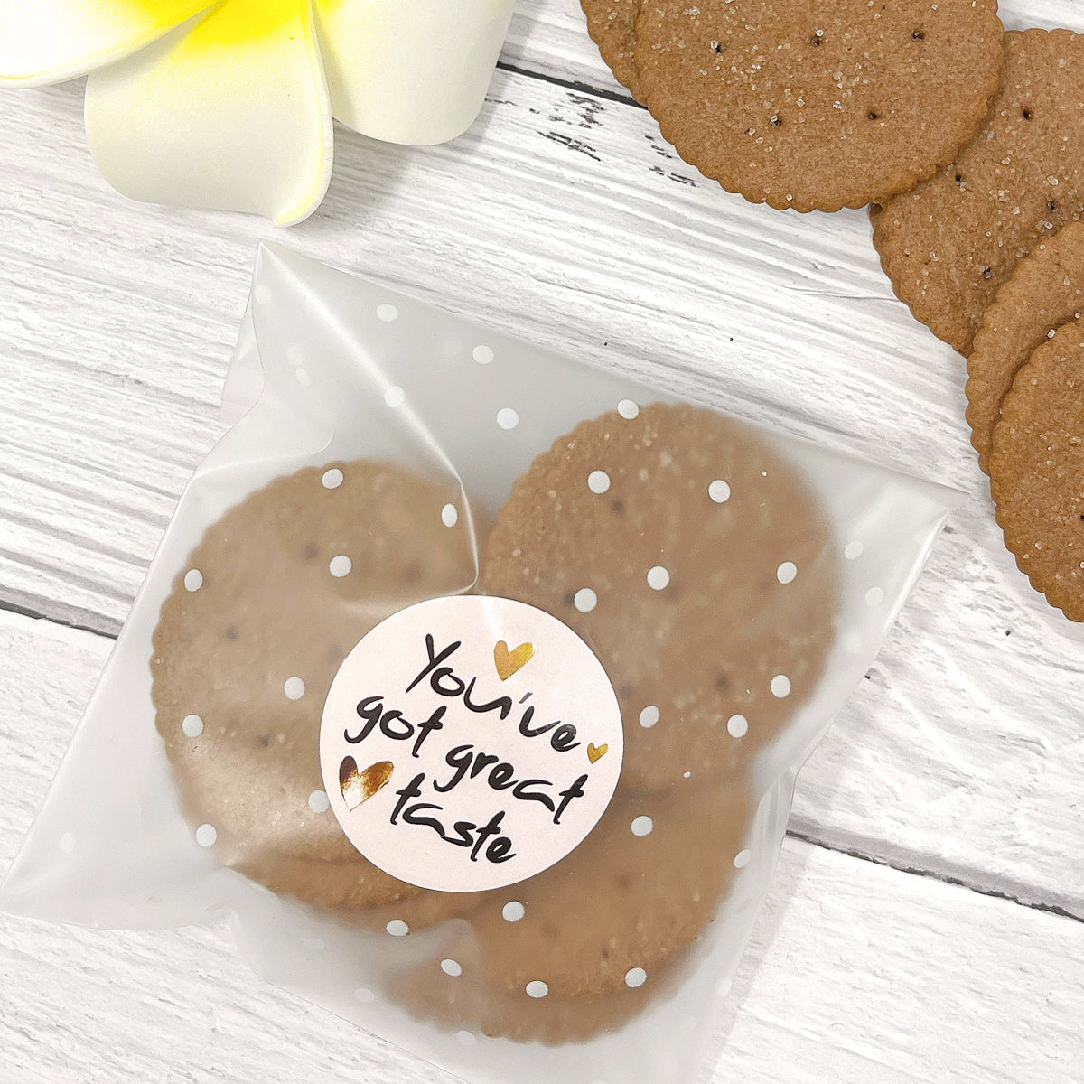 Shop OPP Cellophane Self-Adhesive Cookie Bags for Jewelry Making -  PandaHall Selected