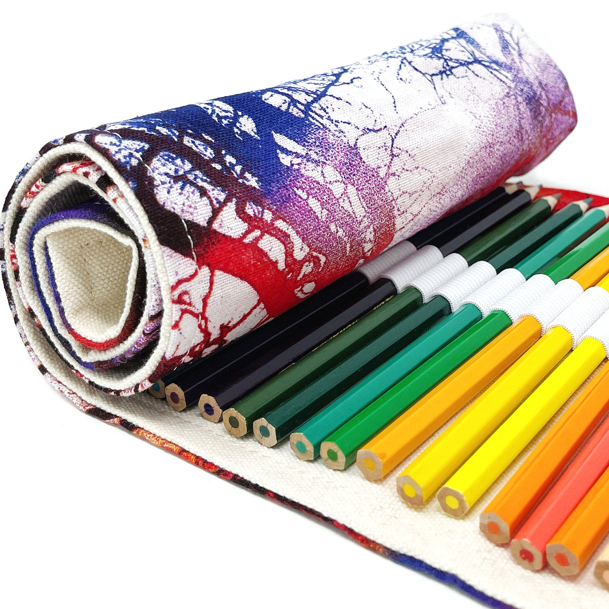Gisneze 72 Colored Pencils with Roll Up Washable Canvas Pencil Bag Pouch for Artist Sketch, 2 Direction Buckle for Different Usage, Size: 19 in