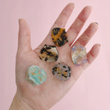 Wrapables Speckled Mini Cat Hair Claws Resin Marble Cat Face Hair Clips (Set of 5)